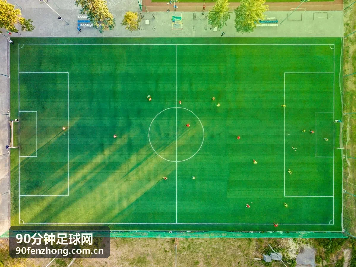 德甲赛场多特蒙德球迷挥舞旗帜